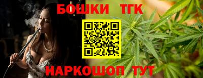 прущие грибы Усть-Джегута