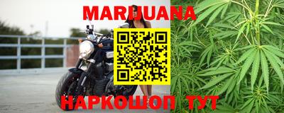 прущие грибы Усть-Джегута