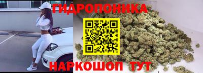 mdpv Уссурийск