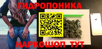 прущие грибы Усть-Джегута