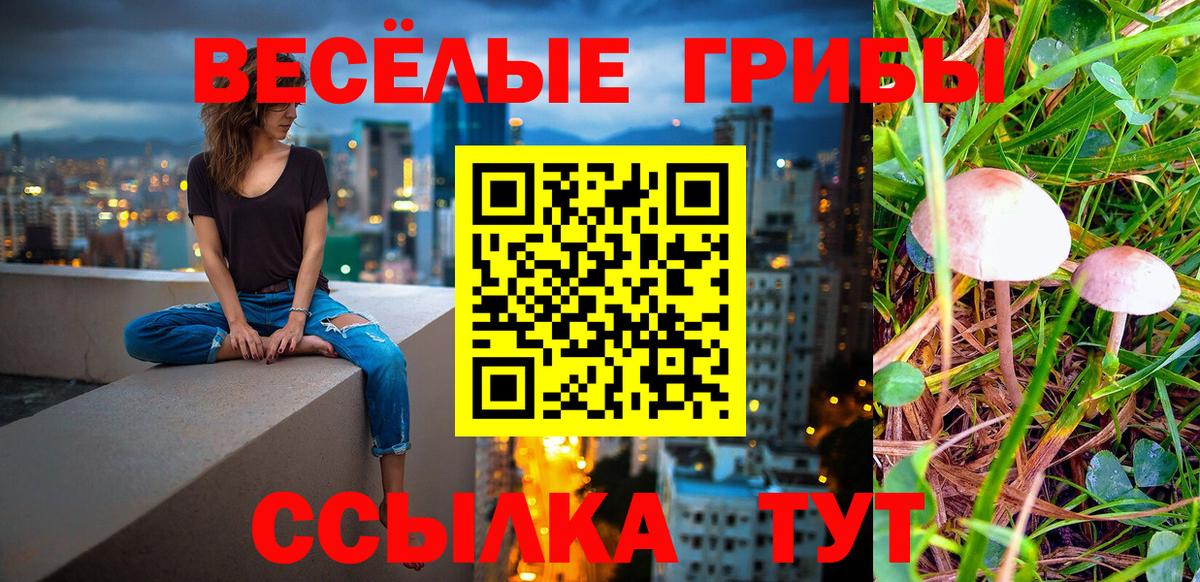 Галлюциногенные грибы прущие грибы Ноябрьск